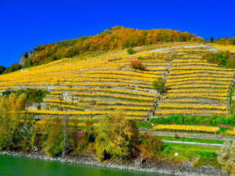 Valle do Wachau