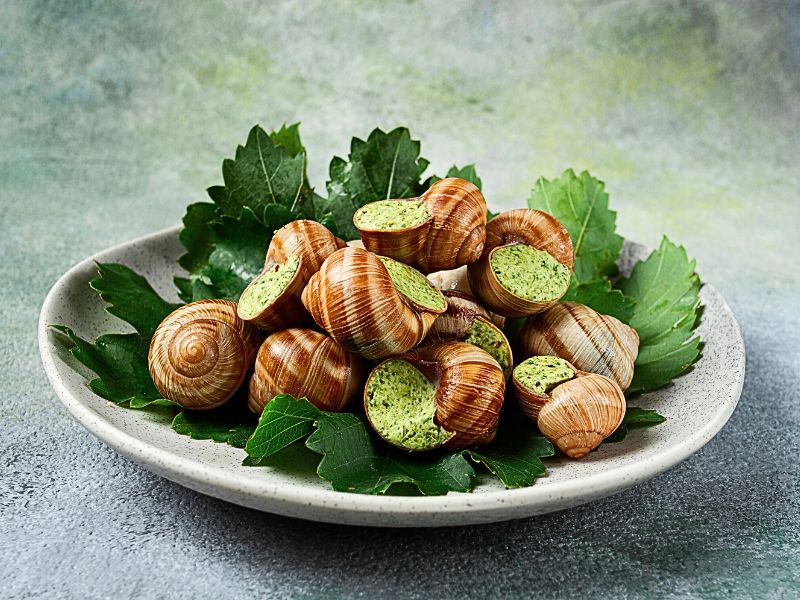Escargots de Bourgogne