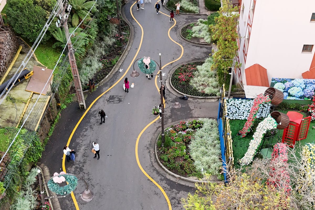 Brasil — Serra Gaúcha — depoimento de Luiza Gramilich em novembro de 2025