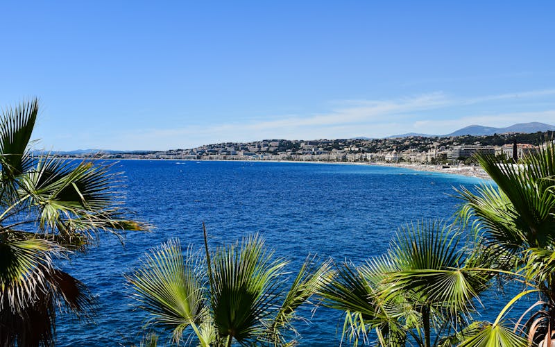 Costa da Riviera com palmeiras