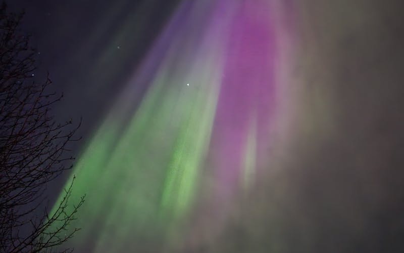 Auroras roxas e verdes sobre paisagem ártica