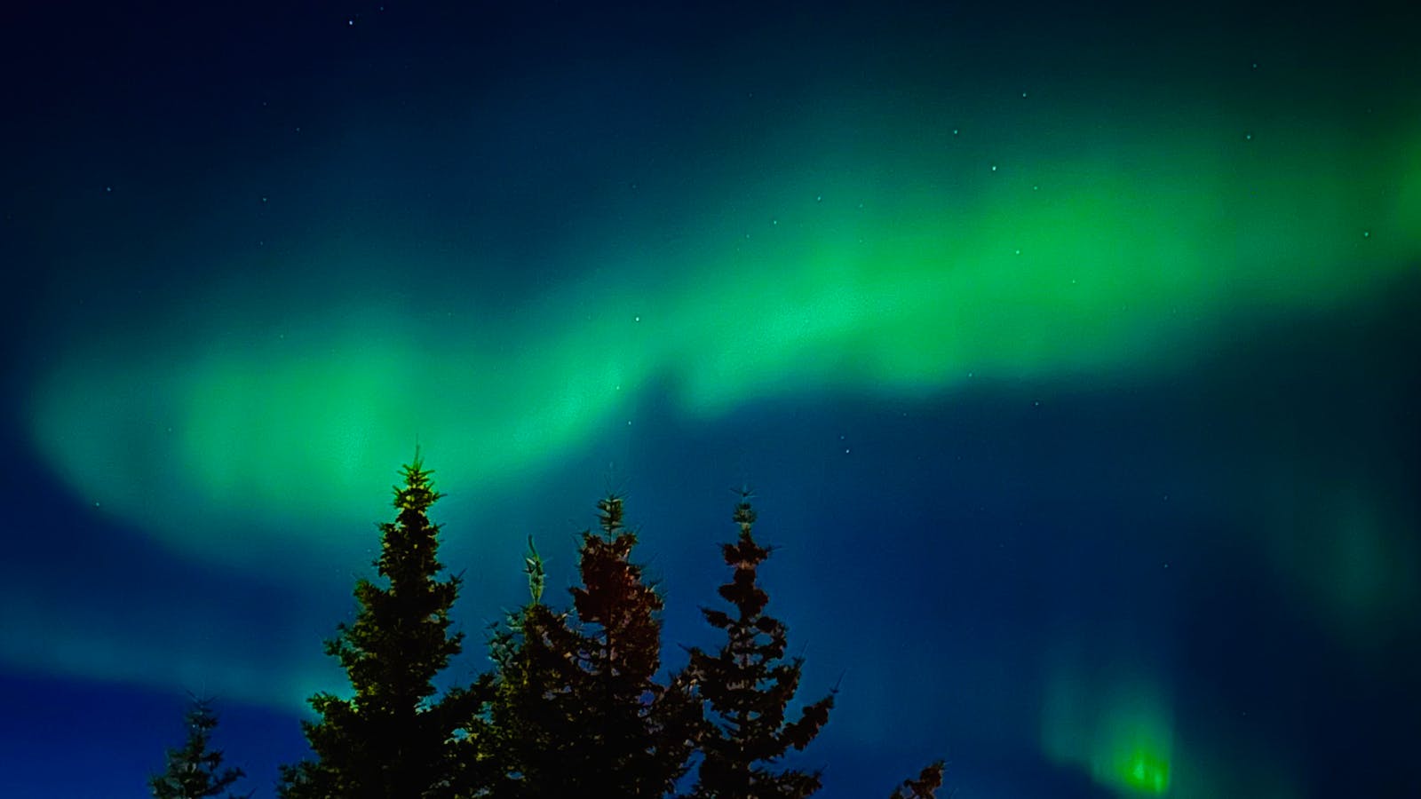 Caça à Aurora Boreal — Onde o céu dança em verde, roxo e dourado, sob temperaturas que congelam o tempo