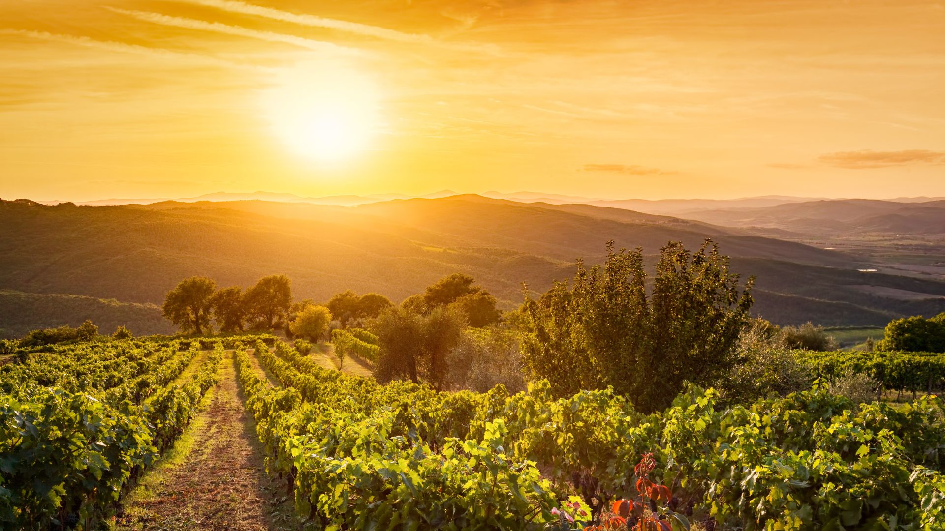 Toscana - Momento 6
